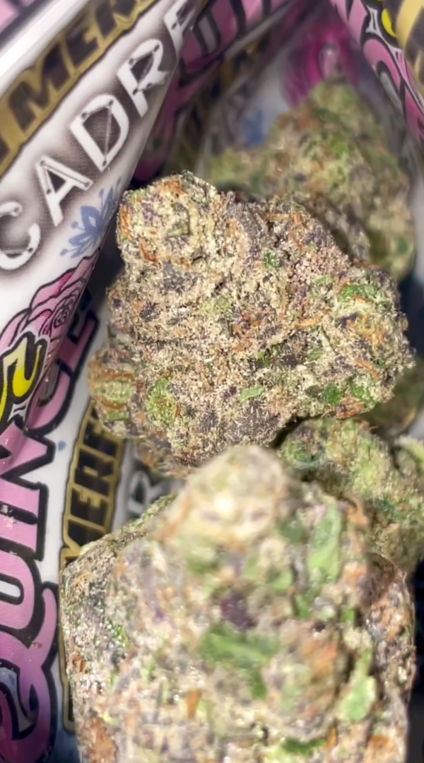 don merfos strain